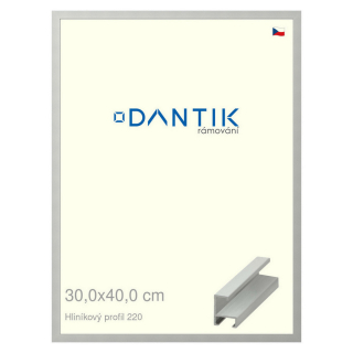 DANTIK rámeček 30x40 | ALU profil 6220 Stříbrná matná (Plexi Čiré)