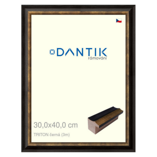 DANTIK rámeček 30x40 | TRITON černá (Plexi Čiré)