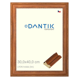 DANTIK rámeček 30x40 | LYON hnědá (Plexi Čiré)