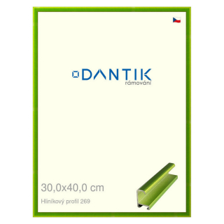 DANTIK rámeček 30x40 | ALU profil 7269 Zelená Smaragd broušená (Plexi Čiré)
