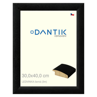 DANTIK rámeček 30x40 | LEDVINKA černá (Plexi Čiré)