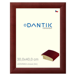 DANTIK rámeček 30x40 | LEDVINKA vínová (Plexi Čiré)