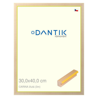 DANTIK rámeček 30x40 | CARINA žlutá (Plexi Čiré)