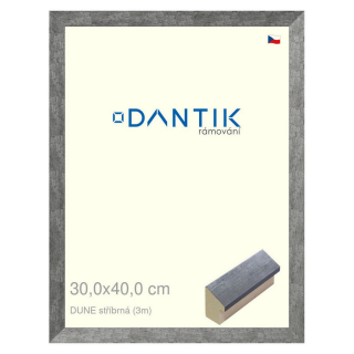 DANTIK rámeček 30x40 | DUNE stříbrná (Plexi Čiré)