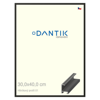 DANTIK rámeček 30x40 | ALU profil 6001 Černá matná (Plexi Čiré)