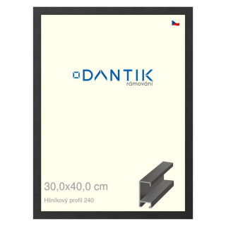 DANTIK rámeček 30x40 | ALU profil 6240 Černá matná (Plexi Čiré)