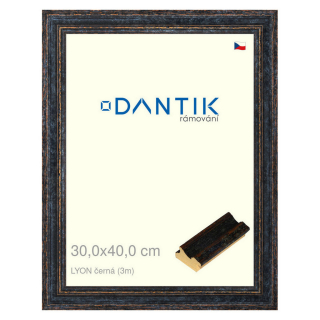 DANTIK rámeček 30x40 | LYON černá (Plexi Čiré)