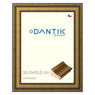 DANTIK rámeček 30x40 | Doprodej | METAL AU prohlá velká (Plexi Čiré)