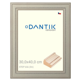 DANTIK rámeček 30x40 | STEP bílá (Plexi Čiré)