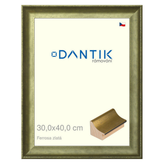 DANTIK rámeček 30x40 | Ferrosa zlatá (Plexi Čiré)