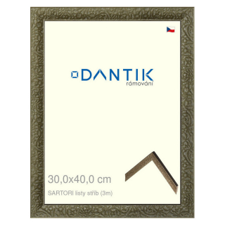 DANTIK rámeček 30x40 | SARTORI listy stříb (Plexi Čiré)
