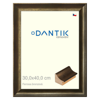 DANTIK rámeček 30x40 | Ferrosa bronzová (Plexi Čiré)