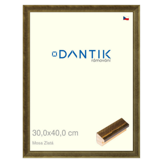 DANTIK rámeček 30x40 | Mosa zlatá (Plexi Čiré)