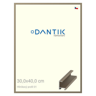 DANTIK rámeček 30x40 | ALU profil 6001 champagne (Plexi Čiré)