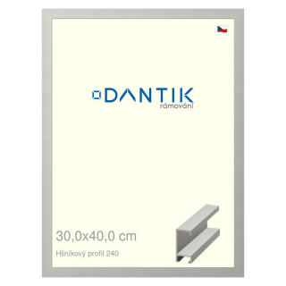DANTIK rámeček 30x40 | ALU profil 6240 Stříbrná matná (Plexi Čiré)