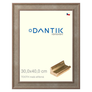 DANTIK rámeček 30x40 | TOOTH malá stříbrná (Plexi Čiré)