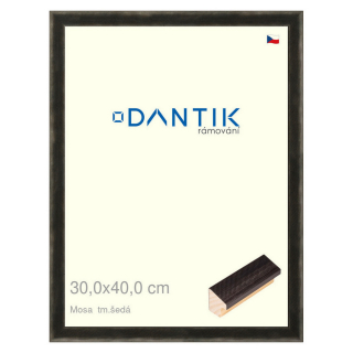 DANTIK rámeček 30x40 | Mosa tm.šedá (Plexi Čiré)