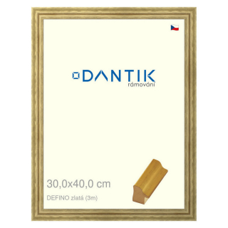DANTIK rámeček 30x40 | DELFINO zlatá (Plexi Čiré)