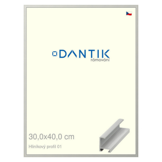 DANTIK rámeček 30x40 | ALU profil 6001 Stříbrná matná (Plexi Čiré)