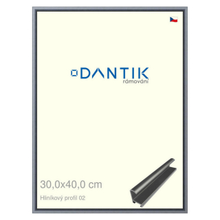 DANTIK rámeček 30x40 | ALU profil 7002 Platina matná (Plexi Čiré)