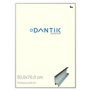 DANTIK rámeček 50x70 | ALU profil 7022 Stříbrná matná (Plexi Čiré)