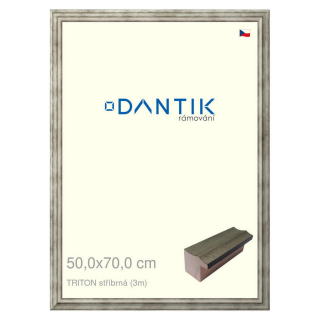 DANTIK rámeček 50x70 | TRITON stříbrná (Plexi Čiré)