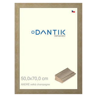 DANTIK rámeček 50x70 | ANDRÉ velká champagne (Plexi Čiré)