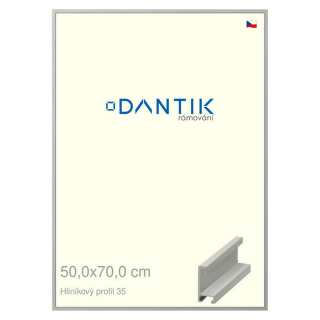 DANTIK rámeček 50x70 | ALU profil 6035 Dýha barevná šedá (Plexi Čiré)