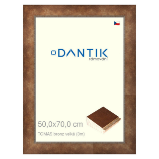 DANTIK rámeček 50x70 | TOMAS bronz velká (Plexi Čiré)