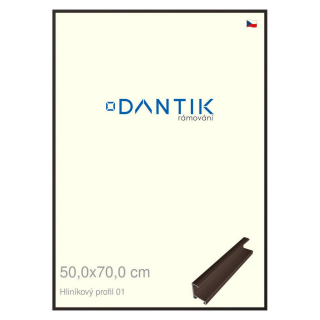 DANTIK rámeček 50x70 | ALU profil 7001 Hnědá matná (Plexi Čiré)