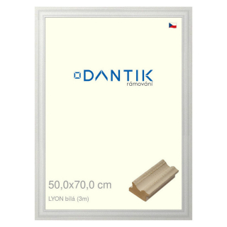 DANTIK rámeček 50x70 | LYON Bílá (Plexi Čiré)