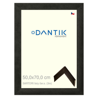 DANTIK rámeček 50x70 | SARTORI listy čer.s. (Plexi Čiré)