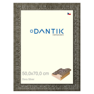 DANTIK rámeček 50x70 | Dora Silver (Plexi Čiré)