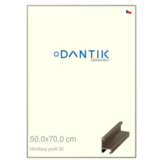 DANTIK rámeček 50x70 | ALU profil 6030 champagne (Plexi Čiré)