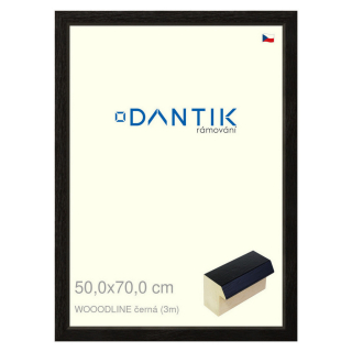 DANTIK rámeček 50x70 | WOODLINE černá (Plexi Čiré)