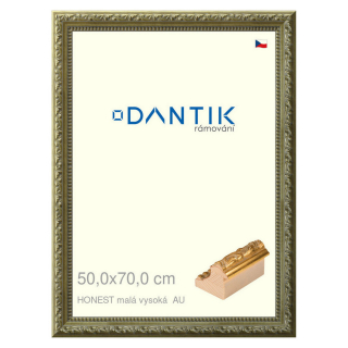 DANTIK rámeček 50x70 | HONEST malá vysoká AU (Plexi Čiré)