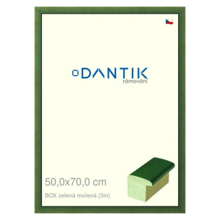 DANTIK rámeček 50x70 | BOXzelená mořená (Plexi Čiré)