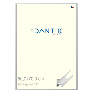 DANTIK rámeček 50x70 | ALU profil 6220 Bílá matná (Plexi Čiré)