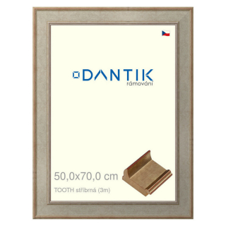DANTIK rámeček 50x70 | TOOTH stříbrná (Plexi Čiré)