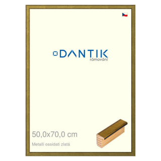 DANTIK rámeček 50x70 | Metalli oidati zlatá (Plexi Čiré)