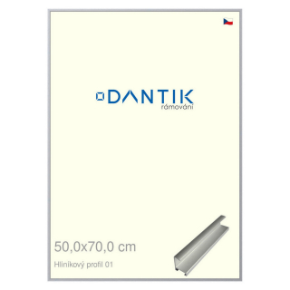 DANTIK rámeček 50x70 | ALU profil 7001 Stříbrná matná (Plexi Čiré)