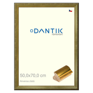 DANTIK rámeček 50x70 | ANIVERSA zlatá (Plexi Čiré)