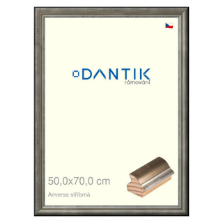 DANTIK rámeček 50x70 | ANIVERSA stříbrná (Plexi Čiré)