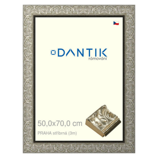 DANTIK rámeček 50x70 | PRAHA stříbrná (Plexi Čiré)