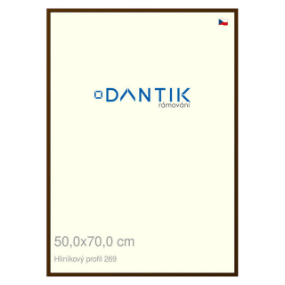 DANTIK rámeček 50x70 | ALU profil 7269 Hnědá umbra broušená (Plexi Čiré)