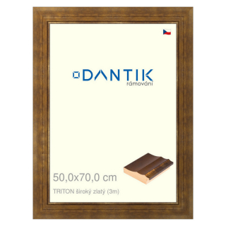 DANTIK rámeček 50x70 | TRITON široký zlatý (Plexi Čiré)
