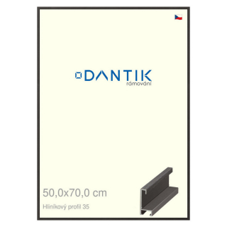 DANTIK rámeček 50x70 | ALU profil 6035 Dýha černá (Plexi Čiré)