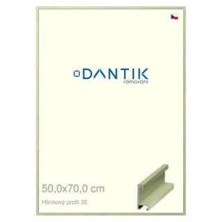 DANTIK rámeček 50x70 | ALU profil 6035 Dýha barevná zelená pastel (Plexi Čiré)