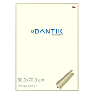 DANTIK rámeček 50x70 | ALU profil 7001 zlatá lesklá alternativa (Plexi Čiré)