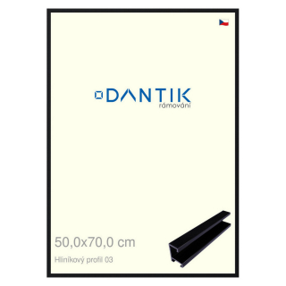 DANTIK rámeček 50x70 | ALU profil 7003 Černá Florentinská (Plexi Čiré)